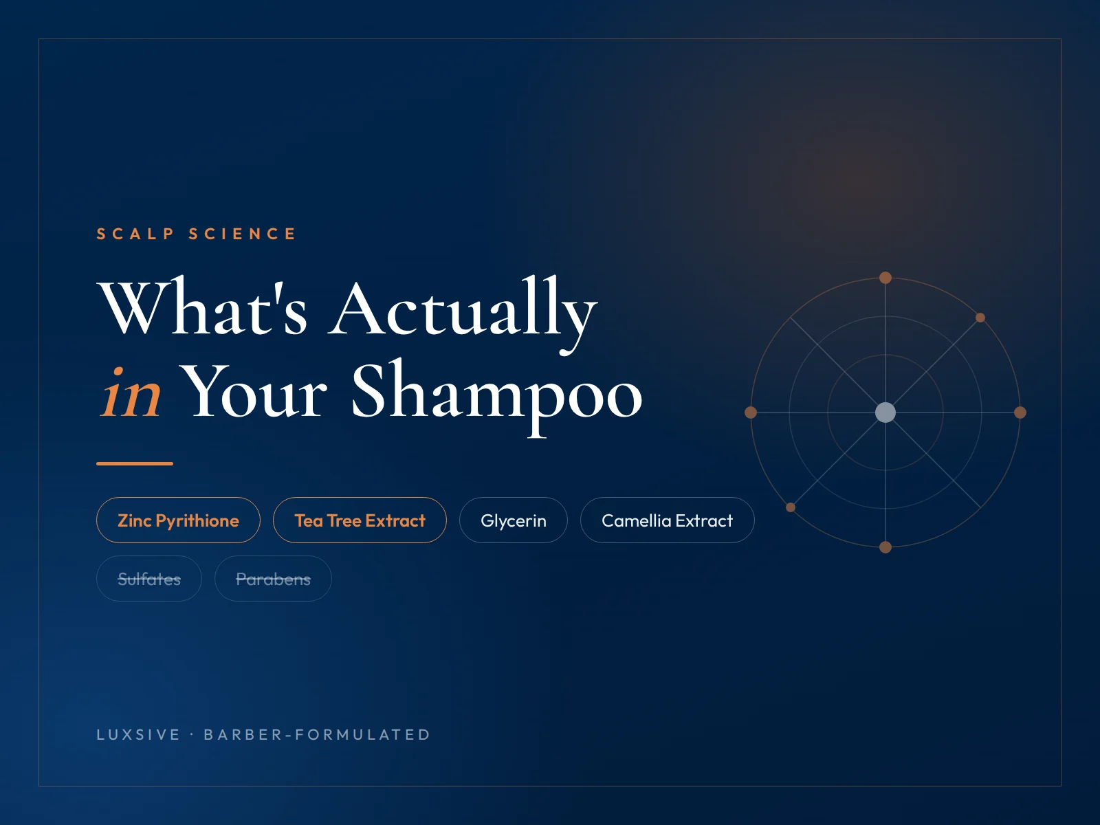 Luxsive scalp ingredient guide — zinc pyrithione, tea tree extract, glycerin and camellia extract